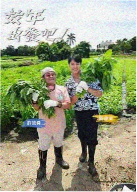 日本音乐综艺偶像练习室在线观看