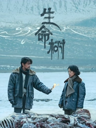 青春成长剧海岸线以南在线看国产