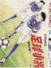日本综艺《全能住宅改造王》海报